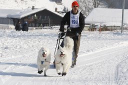 Lenk 2012 SM